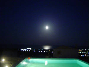 moonlight.jpg