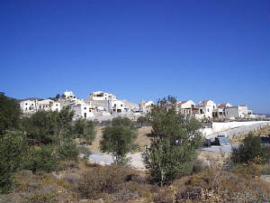 p9020025.jpg