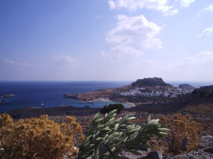 pa100073.jpg